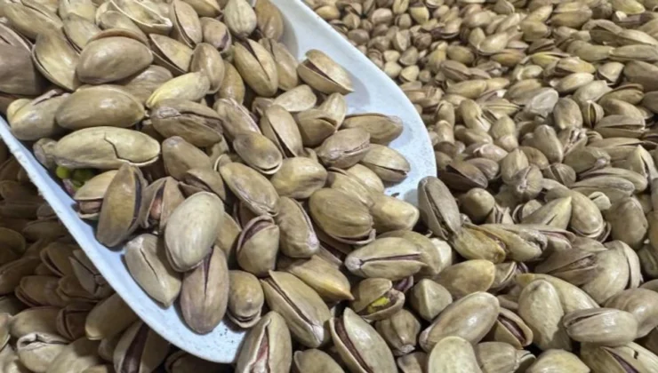 Düğmeye basıldı: Fıstık için sıkı denetim