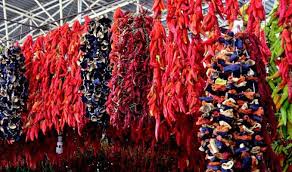 Gaziantep’te Kurutmalık Mevsimi Başladı: Sokaklar Geleneksel Renklerle Şenleniyor