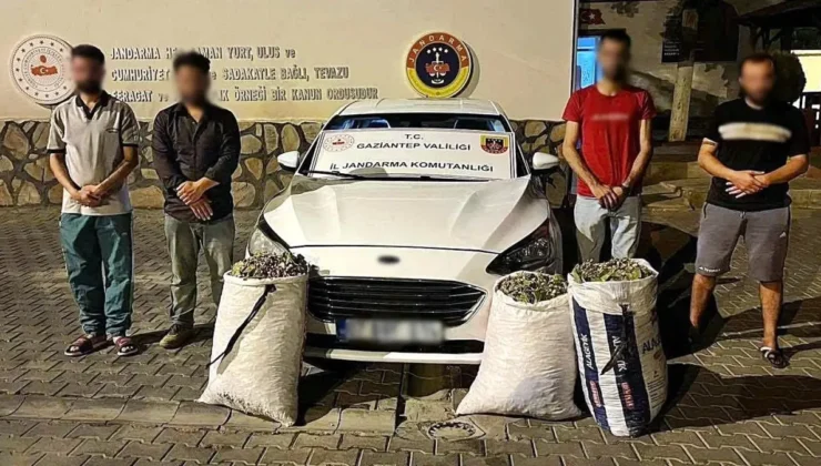 Hırsızlık Operasyonunda 24 Şüpheli Yakalandı