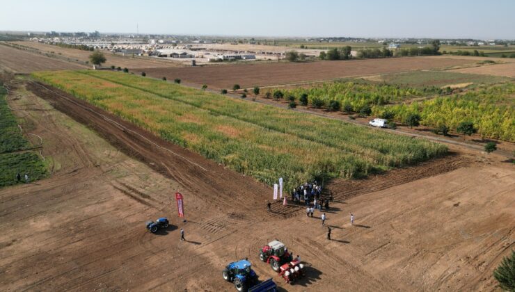 ŞANLIURFA BÜYÜKŞEHİR’DEN ÖRNEK SÜRDÜRÜLEBİLİR TARIM HAMLESİ
