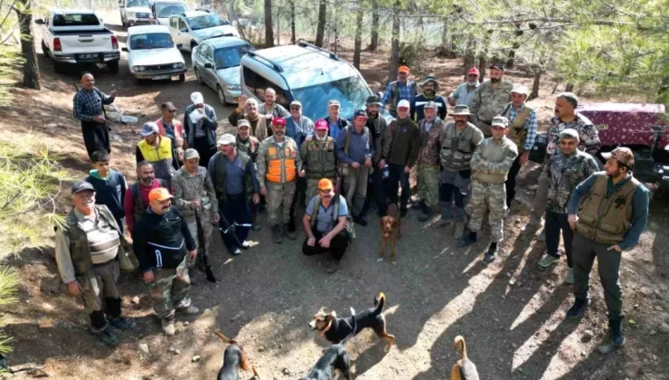 Gaziantep’te Yaban Domuzu Sürek Avı