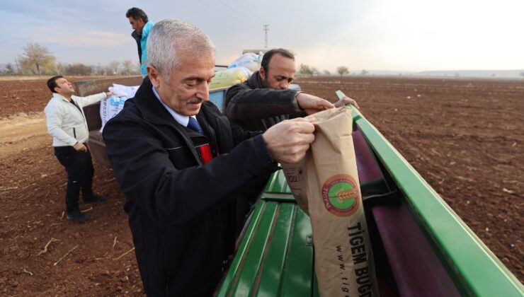 BAŞKAN TAHMAZOĞLU DAĞITTIĞI TOHUMLARI ÇİFTÇİLERLE EKTİ