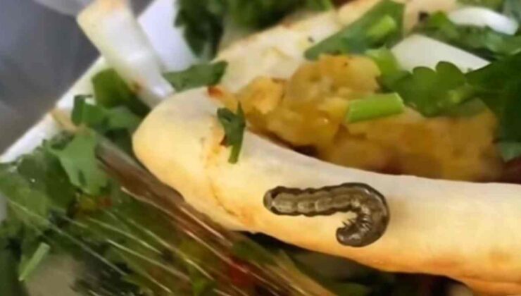 Gaziantep’te Nohut Dürümünden Kurt Çıktı…