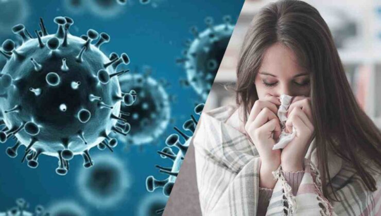 Virüs Alarmı! H3N2 Virüsü Yayılıyor! Kimler Tehlike Altında?