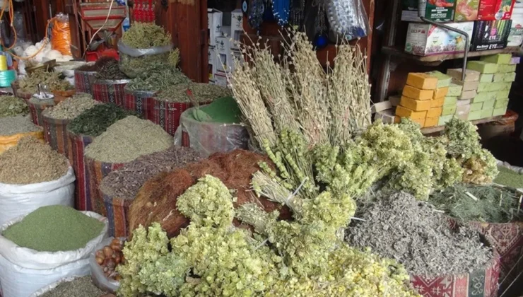 Aktarlarda yoğunluk arttı