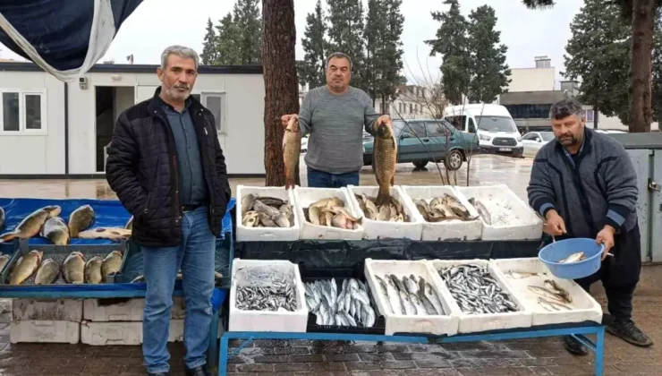 Soğuk Hava Balık Satışlarını Artırdı