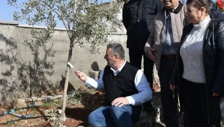 Çiftçiye Budama Desteği