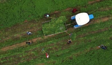 GAZİANTEP BÜYÜKŞEHİR’DEN NİZİP’E ÖRNEK TARIMSAL DESTEKLER!