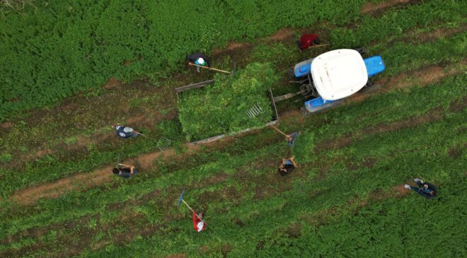 GAZİANTEP BÜYÜKŞEHİR’DEN NİZİP’E ÖRNEK TARIMSAL DESTEKLER!