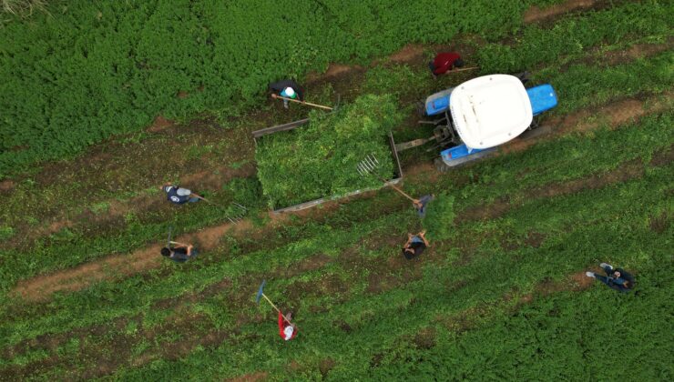 GAZİANTEP BÜYÜKŞEHİR’DEN NİZİP’E ÖRNEK TARIMSAL DESTEKLER!