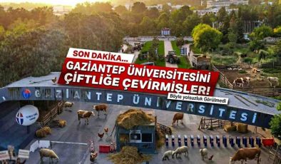SON DAKİKA | Gaziantep Üniversitesini Çiftliğe Çevirmişler! Böyle Yolsuzluk Görülmedi