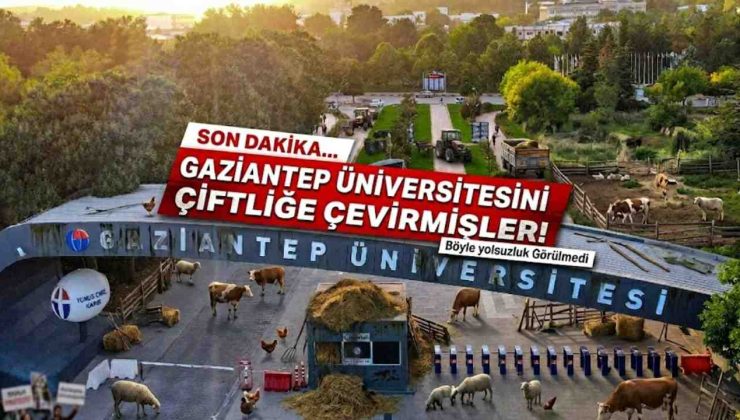 SON DAKİKA | Gaziantep Üniversitesini Çiftliğe Çevirmişler! Böyle Yolsuzluk Görülmedi