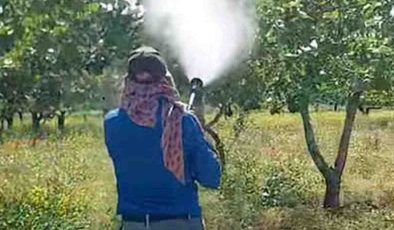 Gaziantep’te Antepfıstığı Üreticileri Hastalık ve Zararlılara Karşı Mücadele Başlattı