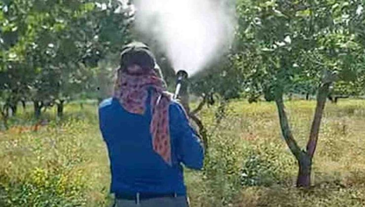 Gaziantep’te Antepfıstığı Üreticileri Hastalık ve Zararlılara Karşı Mücadele Başlattı