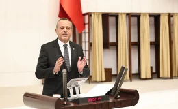 Kültürel soykırıma tepki