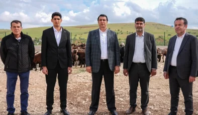 “Şehitkamil’den Uygun Fiyatlı Et Hamlesi”