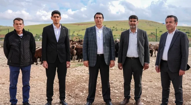“Şehitkamil’den Uygun Fiyatlı Et Hamlesi”