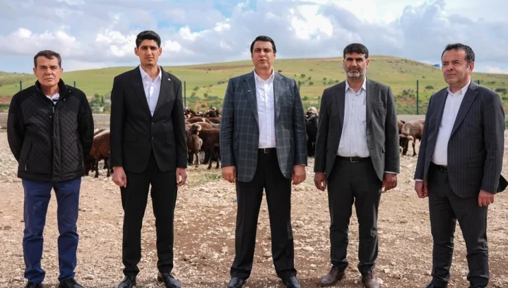 “Şehitkamil’den Uygun Fiyatlı Et Hamlesi”