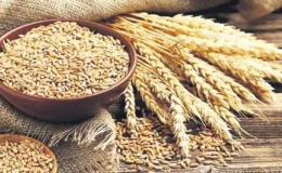 Gaziantep’te Buğday ve Arpa’nın alım ve satış fiyatlarını açıkladı