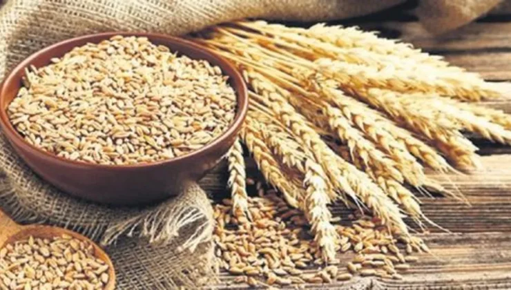 Gaziantep’te Buğday ve Arpa’nın alım ve satış fiyatlarını açıkladı