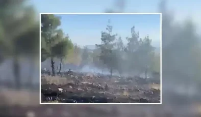 NURDAĞIN DA KORKUTAN YANGIN 3 HEKTAR ALAN ZARAR GÖRDÜ