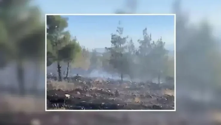  NURDAĞIN DA KORKUTAN YANGIN 3 HEKTAR ALAN ZARAR GÖRDÜ