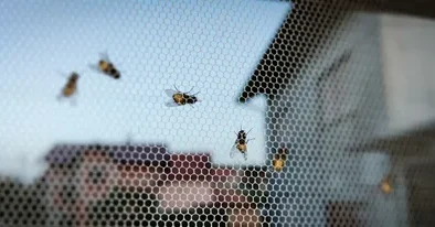 Gaziantepliler kapıları pencereleri kitleyip eve kapandılar!