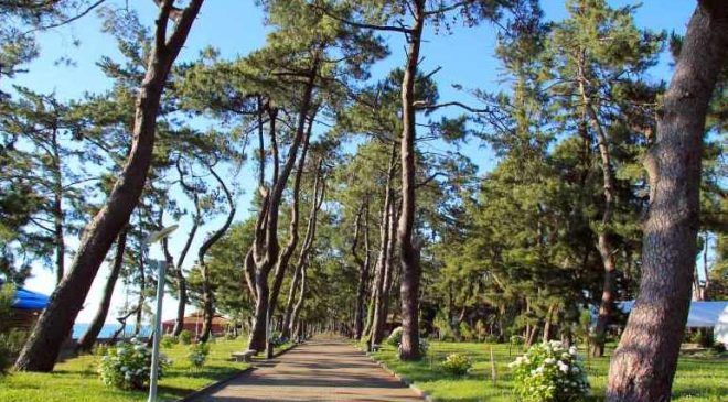 Gaziantep’te ormanlara girişler yasaklandı