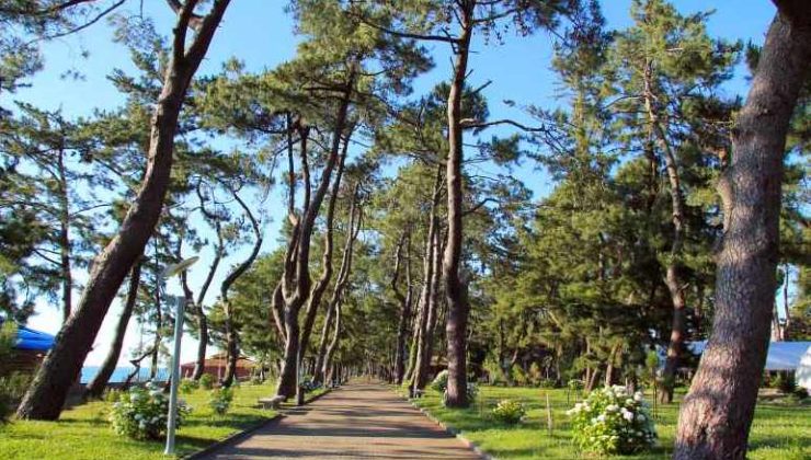 Gaziantep’te ormanlara girişler yasaklandı