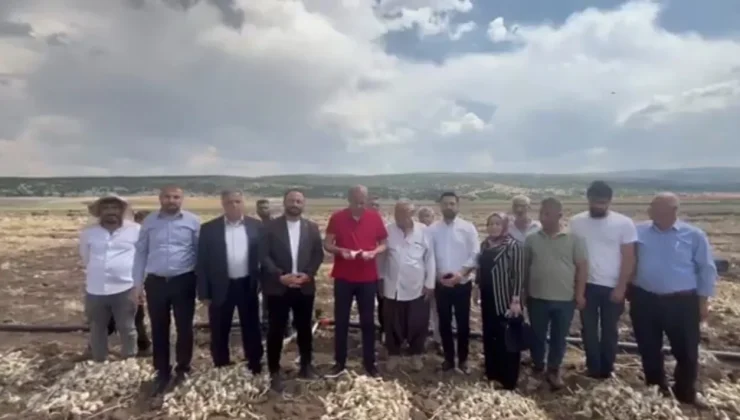 Vakkas Acar: Çiftçi emeğinin karşılığını alamıyor