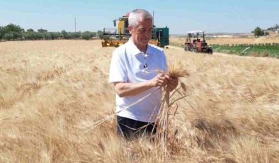 Şahinbey’de Topraktan Bereket Fışkırdı! Başkan Tarlaya İndi, Rekor Hasadı Müjdeledi