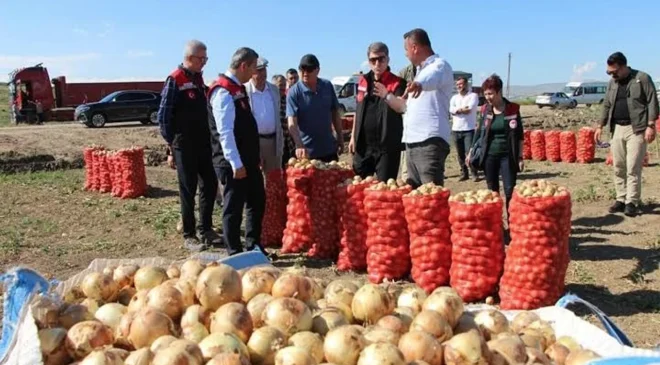 Bakanlıktan ‘soğan’ tedbiri