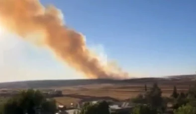 Gaziantep’te ormanlık alan alevlere teslim oldu