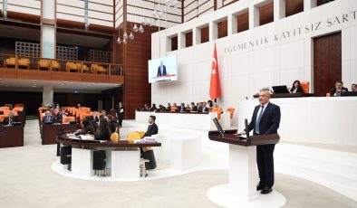 Meriç’ten TBMM Genel Kurulu’nda şehit aileleri için çağrı