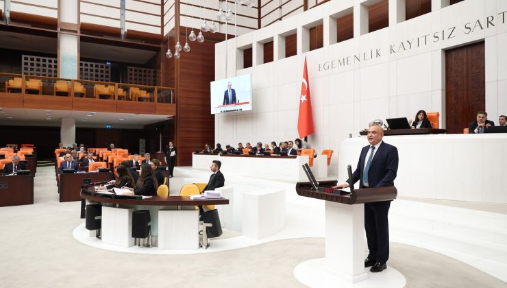 Meriç’ten TBMM Genel Kurulu’nda şehit aileleri için çağrı