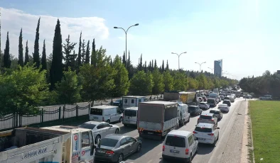 Araç sahiplerini bekleyen gizli tehlike: Fareler