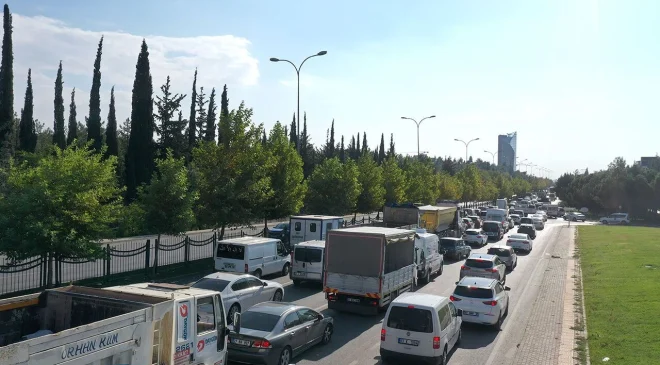 Araç sahiplerini bekleyen gizli tehlike: Fareler