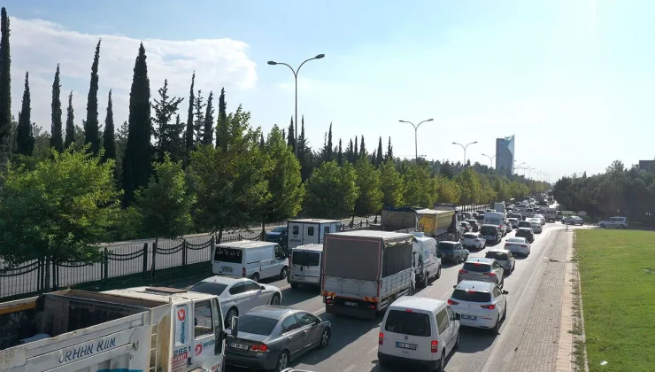 Araç sahiplerini bekleyen gizli tehlike: Fareler