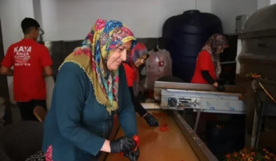 Gaziantep’te kışlık salça telaşı başladı