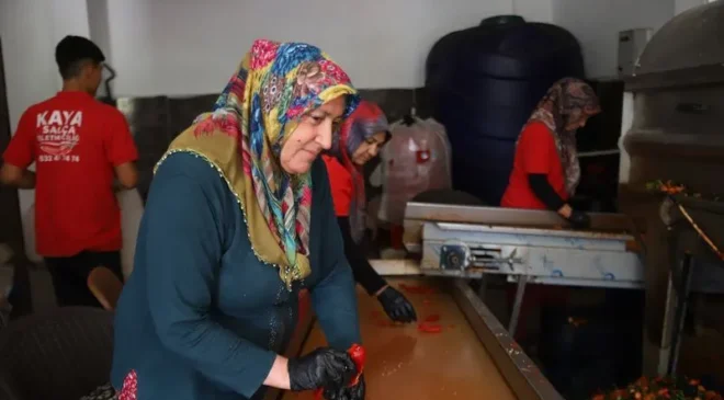 Gaziantep’te kışlık salça telaşı başladı