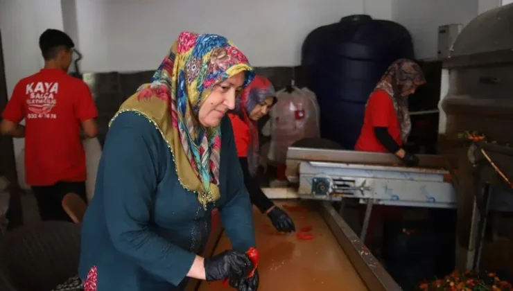 Gaziantep’te kışlık salça telaşı başladı