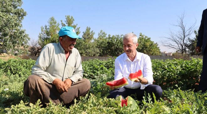 ŞAHİNBEY’DEN ÇİFTÇİLERE 53 MİLYONDAN FAZLA FİDE  DESTEĞİ