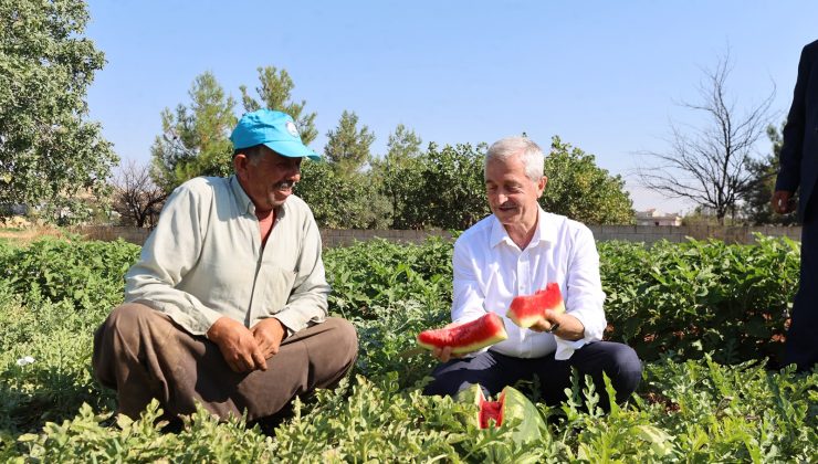 ŞAHİNBEY’DEN ÇİFTÇİLERE 53 MİLYONDAN FAZLA FİDE  DESTEĞİ