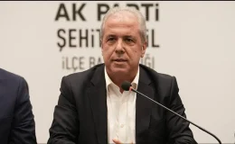 Tayyar son anketleri açıkladı
