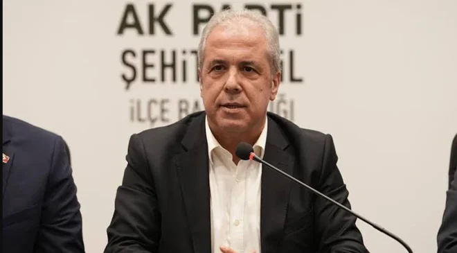 Tayyar son anketleri açıkladı