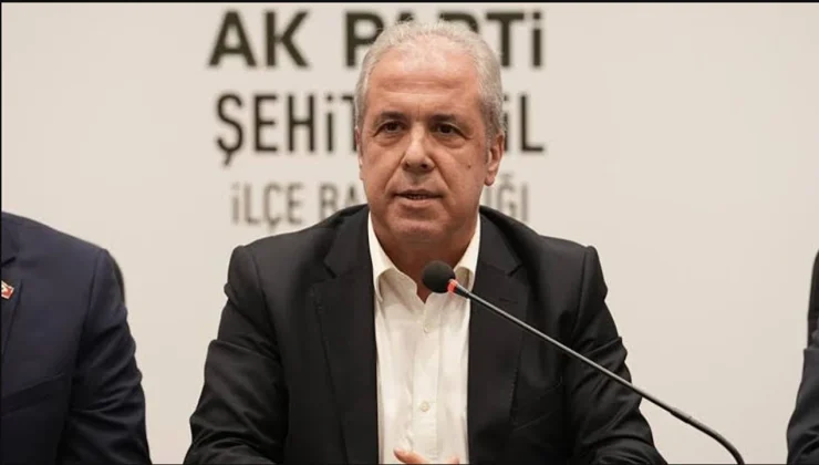Tayyar son anketleri açıkladı