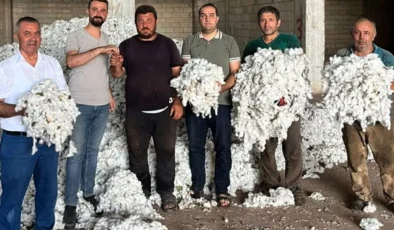 Gaziantep’te pamuk üreticisi hasat mesaisine başladı