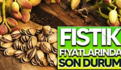 Gaziantep’te Antep Fıstığı Fiyatları: Boz İç Fıstık 2 Bin 100 TL’ye Ulaştı