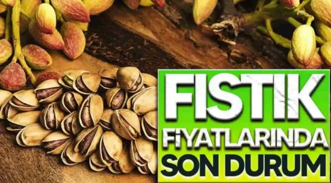 Gaziantep’te Antep Fıstığı Fiyatları: Boz İç Fıstık 2 Bin 100 TL’ye Ulaştı