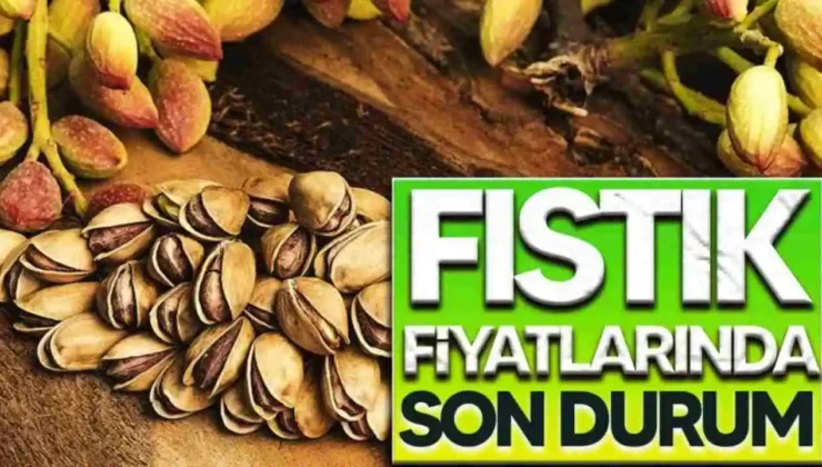 Gaziantep’te Antep Fıstığı Fiyatları: Boz İç Fıstık 2 Bin 100 TL’ye Ulaştı